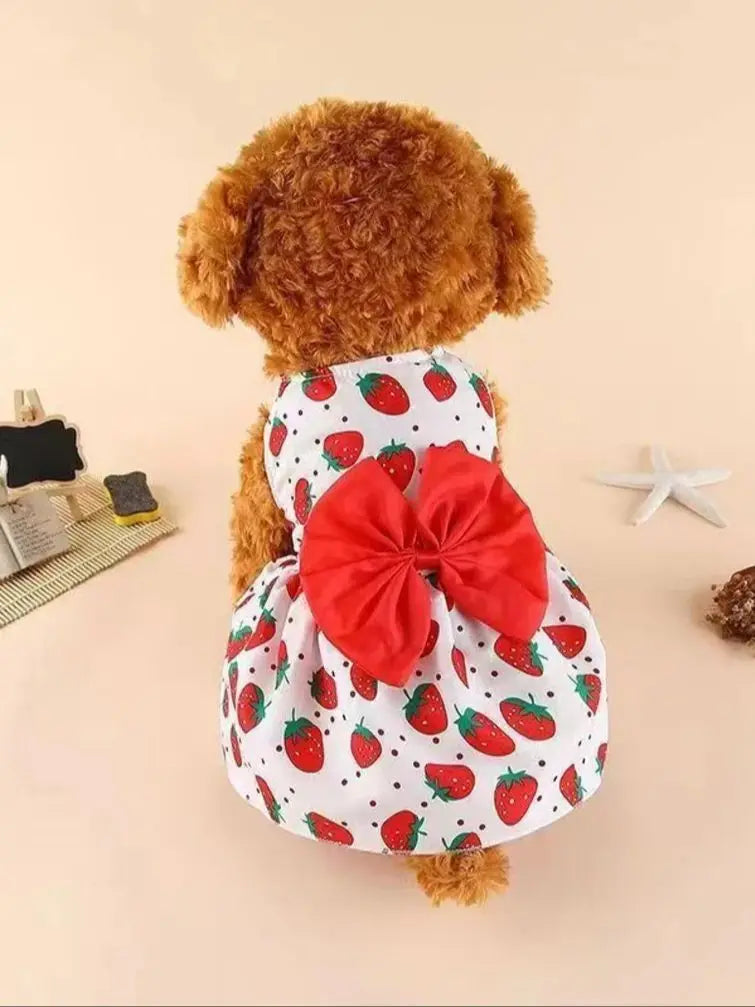 Dog Princess Dress Summer Kitten Pet Skirt Cute Printed Bow Lace Dog Dresses for Small Medium Puppies Poodle Chihuahua Apparel Oz Pet Hub