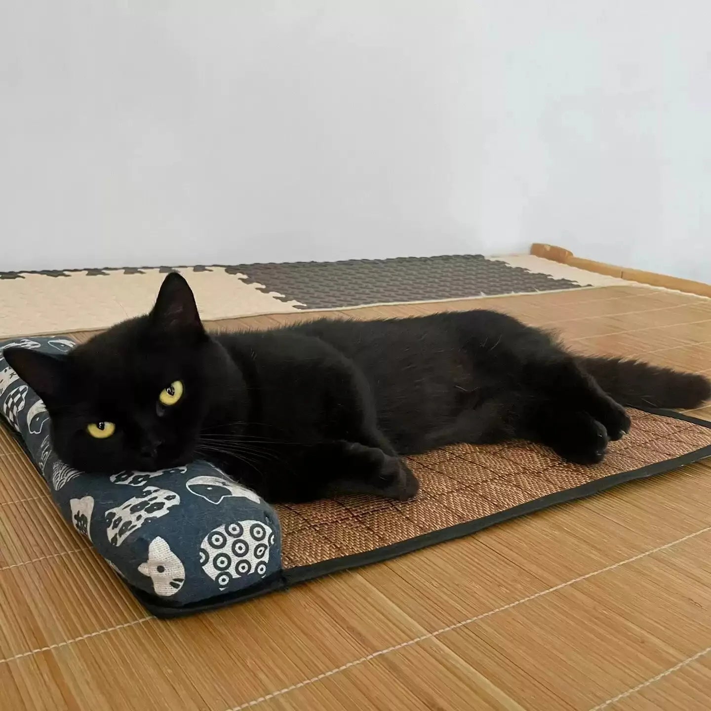 Cat Natural Cooling Mat Summer Pet Self Cooling Pad Cat Bed Mat For Dogs Indoor Rattan Weave Mat Sleeping Cat Bed Oz Pet Hub
