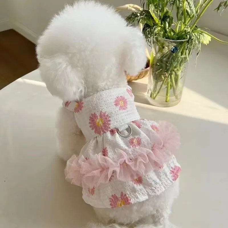 Pet Lace Supplies Dress Small Dog Flower Princess Dress Kitty Teddy New Pet Clothes Cute Dog Skirt Summer Thin Pet Accessories