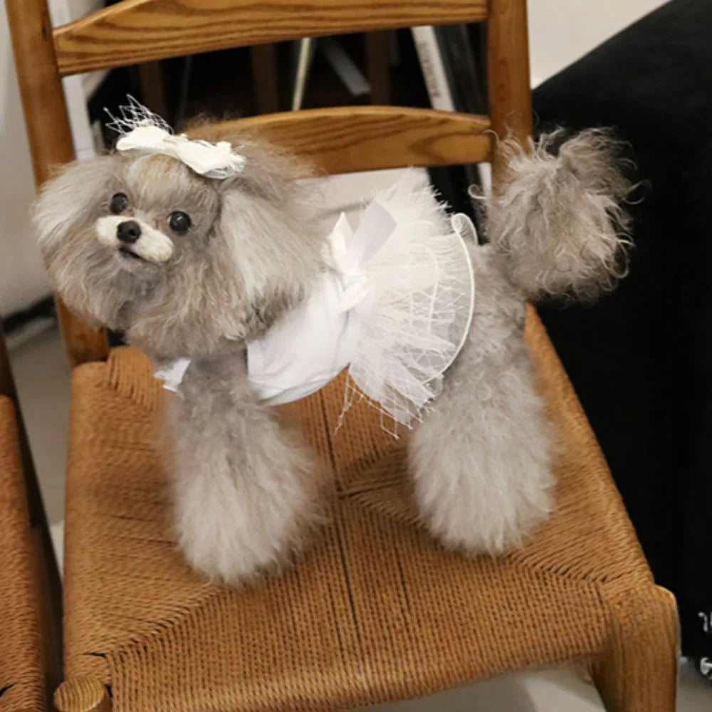 Pet Spring Lace Mesh Puff Skirt Cute Cat Bow Princess Lace Strap Skirt Puppy Clothes Dog Dresses for Small Dogs