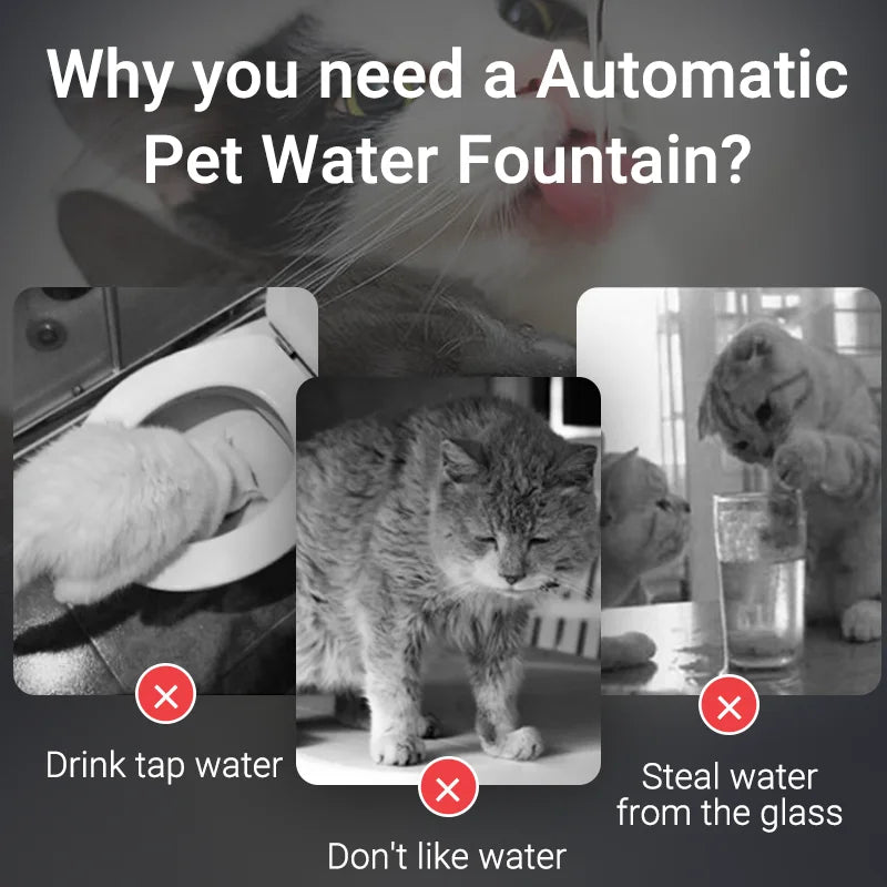 Automatic pet water fountain for cats who dislike tap water or steal from glasses