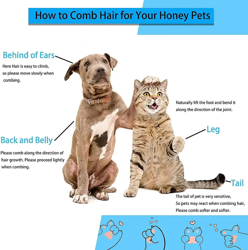 Dog and cat grooming guide: how to comb hair behind ears, back, belly, legs, and tail safely