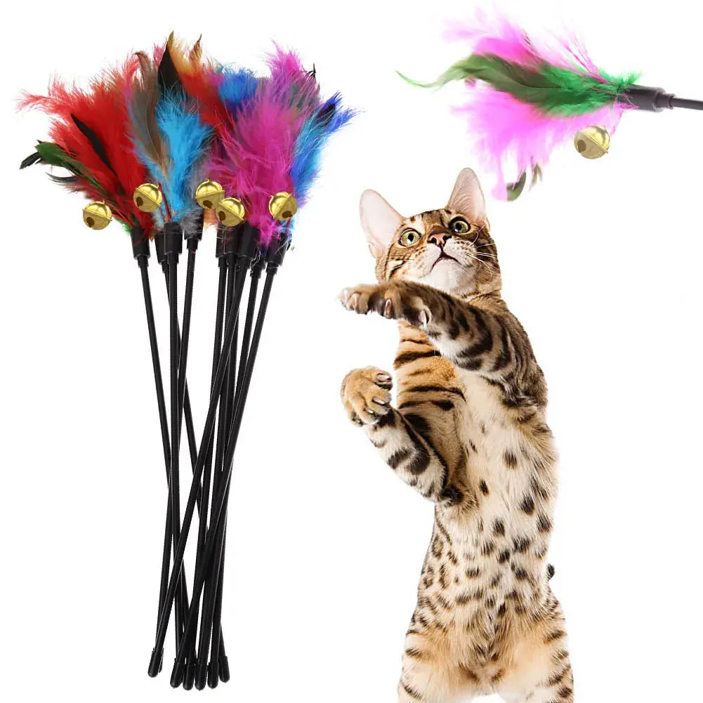 Cat playing with colorful feather wand toys featuring bells for interactive pet play and enrichment