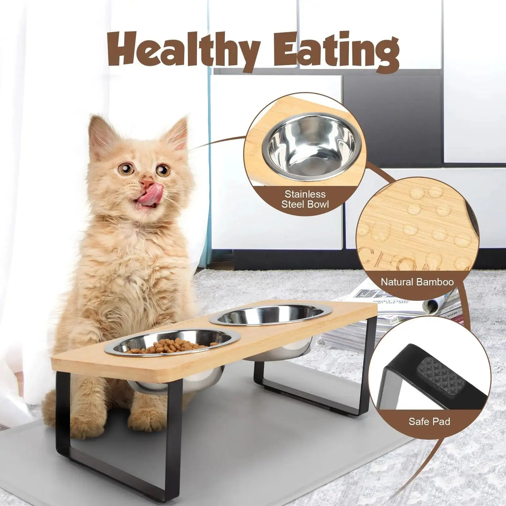 Cute kitten with elevated bamboo pet feeder featuring stainless steel bowls and non-slip pads for healthy eating