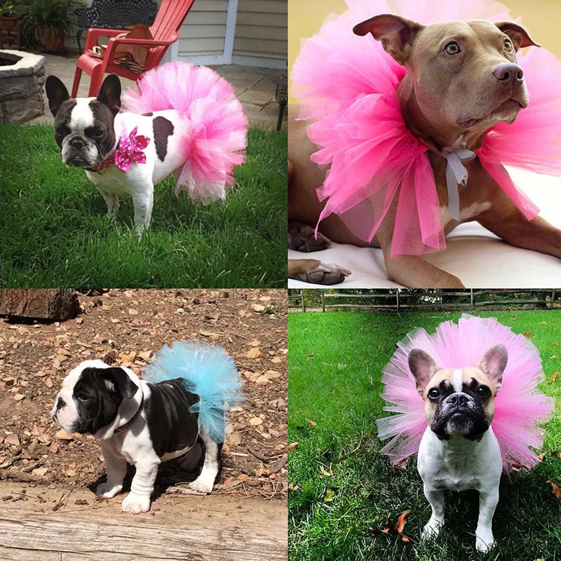Pet Puppy Small Dog Lace Skirt Princess Tutu Dress Clothes Apparel Costume Cute Pet Shop Tudo Para Caes Puppy Clothes Dog Dress Oz Pet Hub