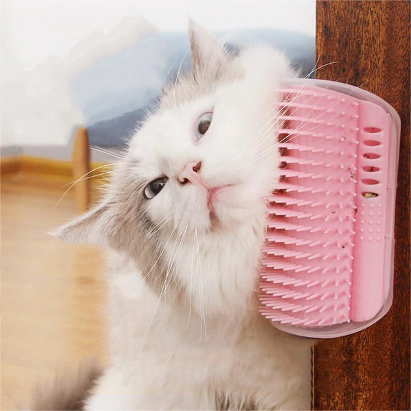 Fluffy white cat using pink self-grooming brush mounted on wood, pet grooming tool for cats