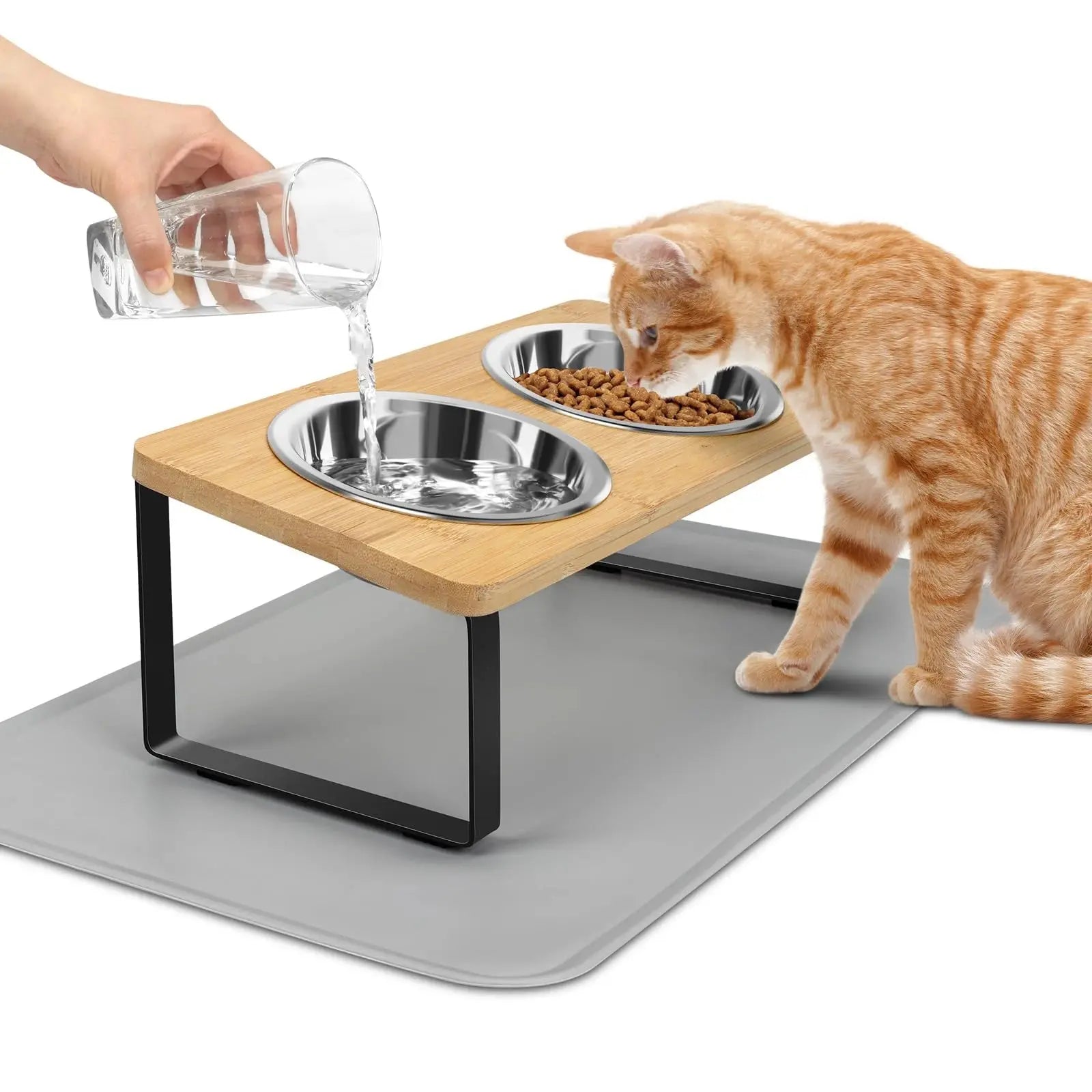 Cat eating from elevated stainless steel bowl on bamboo stand with water being poured, pet feeding station