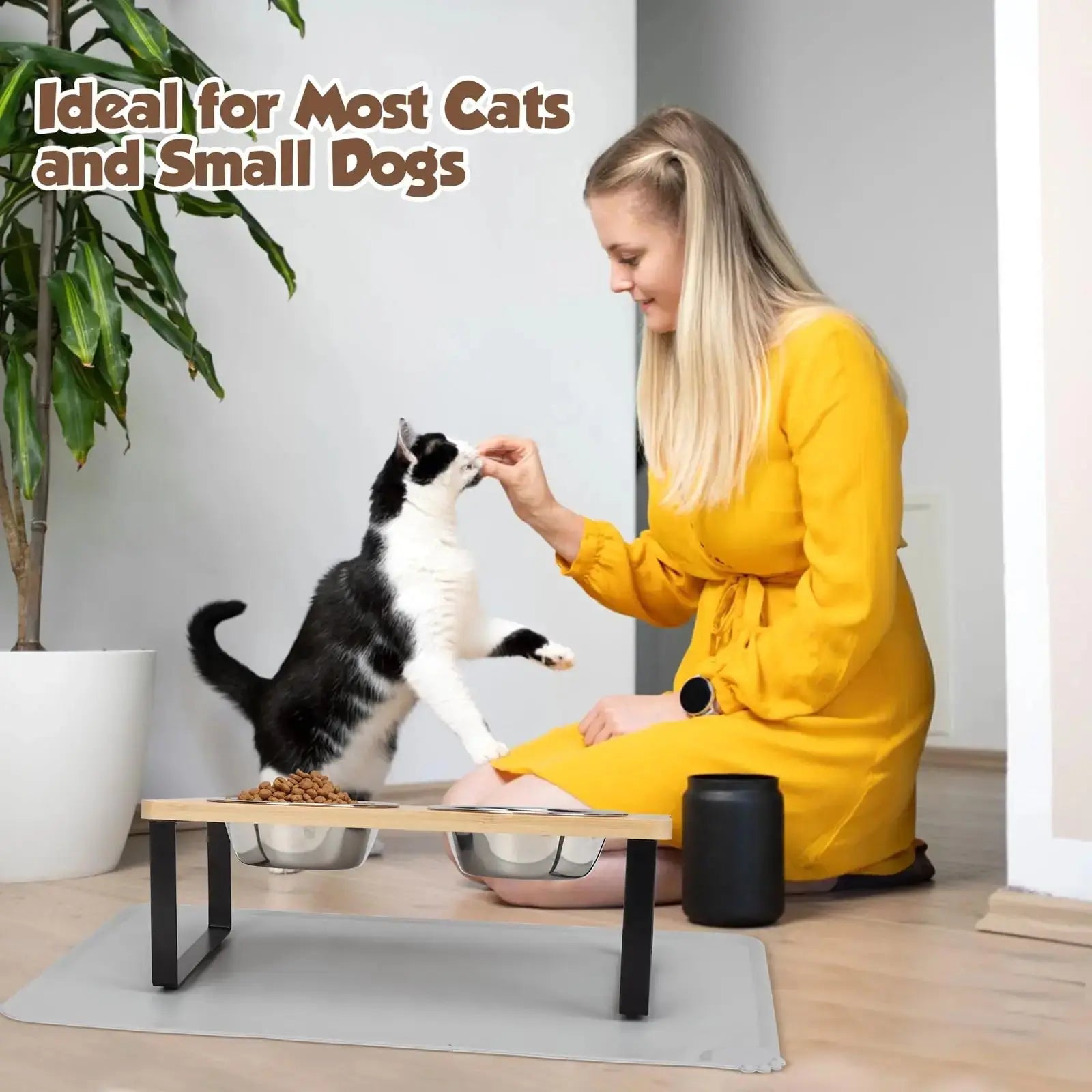 Elevated pet feeder for cats and small dogs with stainless steel bowls, ideal for comfortable feeding.